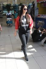 Lauren Gottlieb snapped at airport on 12th Dec 2015